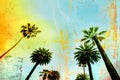 Palm trees at Santa Monica beach,CA Royalty Free Stock Photo