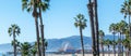 Palm trees in Santa Monica beach on a sunny day Royalty Free Stock Photo