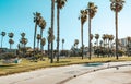 Palm trees at Santa Monica beach. Royalty Free Stock Photo