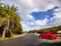 Palm Trees Scenic Road