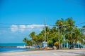 Palm trees by the sea in Florida Keys Royalty Free Stock Photo