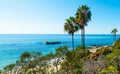 Palm trees by the sea in Laguna Beach shore on a sunny day Royalty Free Stock Photo