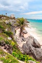 Palm trees, sea, palm trees. The Caribbean sea