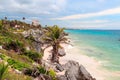 Palm trees, sea, palm trees. The Caribbean sea, Isla Mujeres