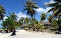 Palm trees sea and sand. Royalty Free Stock Photo