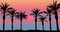 Palm trees and sea and sunset, beach silhouette. Beautiful scenery Royalty Free Stock Photo