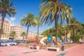 Palm trees on the seafront street in Lloret de Mar, Spain on sunny bright day