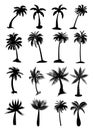 Palm trees set Royalty Free Stock Photo