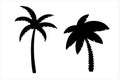 Palm trees set, isolated hand drawn black and white vector illustration on white background Royalty Free Stock Photo