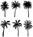 palm trees set silhouette, on white background, isolated Royalty Free Stock Photo