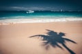 Palm trees shadow on the tropical beach Punta Cana, Dominican Re Royalty Free Stock Photo