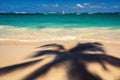 Palm trees shadow on the tropical beach Punta Cana, Dominican Re Royalty Free Stock Photo