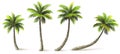 Palm Trees Royalty Free Stock Photo