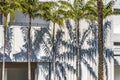 Palm Trees Shadows Building Miami Beach Florida Royalty Free Stock Photo