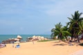 Palm trees on the shore, the bounty, Park World`s end, China, Hainan