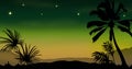 Palm trees silhouette against a sunset and starry sky, capturing a tranquil tropical vibe Royalty Free Stock Photo