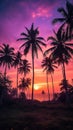 Palm trees silhouette. Clump of palms at sunset in the tropics Royalty Free Stock Photo