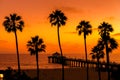 Palm trees silhouette on Manhattan Beach at sunset Royalty Free Stock Photo