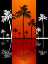 Palm trees silhouette and reflection on red panel