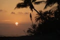 Palm trees silhouette at sunset with big sun behind clouds Royalty Free Stock Photo