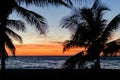 Palm trees silhouette. Sunset colorful sky backlight in Asia Royalty Free Stock Photo