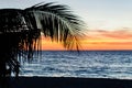 Palm trees silhouette. Sunset colorful sky backlight in Asia Royalty Free Stock Photo