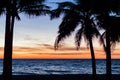 Palm trees silhouette. Sunset colorful sky backlight in Asia Royalty Free Stock Photo