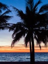 Palm trees silhouette. Sunset colorful sky backlight in Asia Royalty Free Stock Photo
