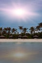 Palm trees silhouette and a sunset over the sea Royalty Free Stock Photo