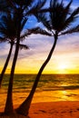 Palm trees silhouette on sunset tropical beach