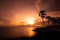 Palm trees silhouette on sunset, on tropical beach at phuket. Royalty Free Stock Photo