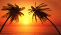 Palm trees silhouette tropical ocean sunset Royalty Free Stock Photo