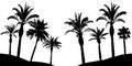 Palm trees silhouette, vector illustration Royalty Free Stock Photo