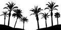 Palm trees silhouette, vector illustration