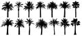 Palm Trees Silhouette. Vector Set Tropical Trees. Isolated On White Background