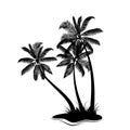 Palm trees silhouette Royalty Free Stock Photo