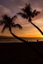 Palm Trees Silhouetted on a Maui Beach at Sunset Royalty Free Stock Photo