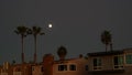 Palm trees silhouettes and full moon in twilight sky, California beach houses. Royalty Free Stock Photo