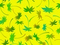 Palm trees silhouettes seamless pattern. Colorful gradient palm trees. Summer time, wallpaper with tropical pattern Royalty Free Stock Photo