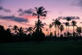 Palm trees silhouettes on tropical beach during colorful sunset. Royalty Free Stock Photo