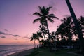 Palm trees silhouettes on tropical beach during colorful sunset. Royalty Free Stock Photo