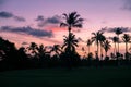 Palm trees silhouettes on tropical beach during colorful sunset. Royalty Free Stock Photo