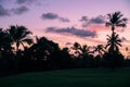 Palm trees silhouettes on tropical beach during colorful sunset. Royalty Free Stock Photo