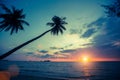 Palm trees silhouettes on tropical beach during sunset. Nature. Royalty Free Stock Photo