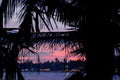 Palm-trees silhouettes and Unawatuna beach on the background, Sri Lanka Royalty Free Stock Photo