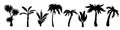 Palm trees silhouettes. Variety exotic plants, black tropical jungle elements, summer flora, rainforest objects Royalty Free Stock Photo