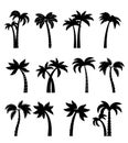 Palm trees silhouettes