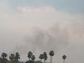 Palm trees and smoke around