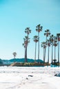 Palm Trees and Snow in Hayama, Japan. Hayama is known as the Japanese emperor having a vacation house. In summer time, internatio