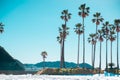 Palm Trees and Snow in Hayama, Japan. Hayama is known as the Japanese emperor having a vacation house. In summer time, internation